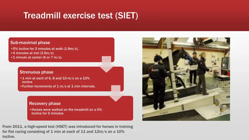 treadmill exercise test siet