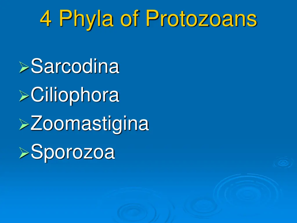 4 phyla of protozoans
