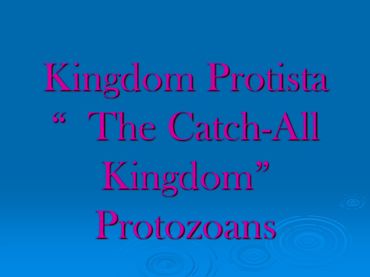 kingdom protista the catch all kingdom protozoans