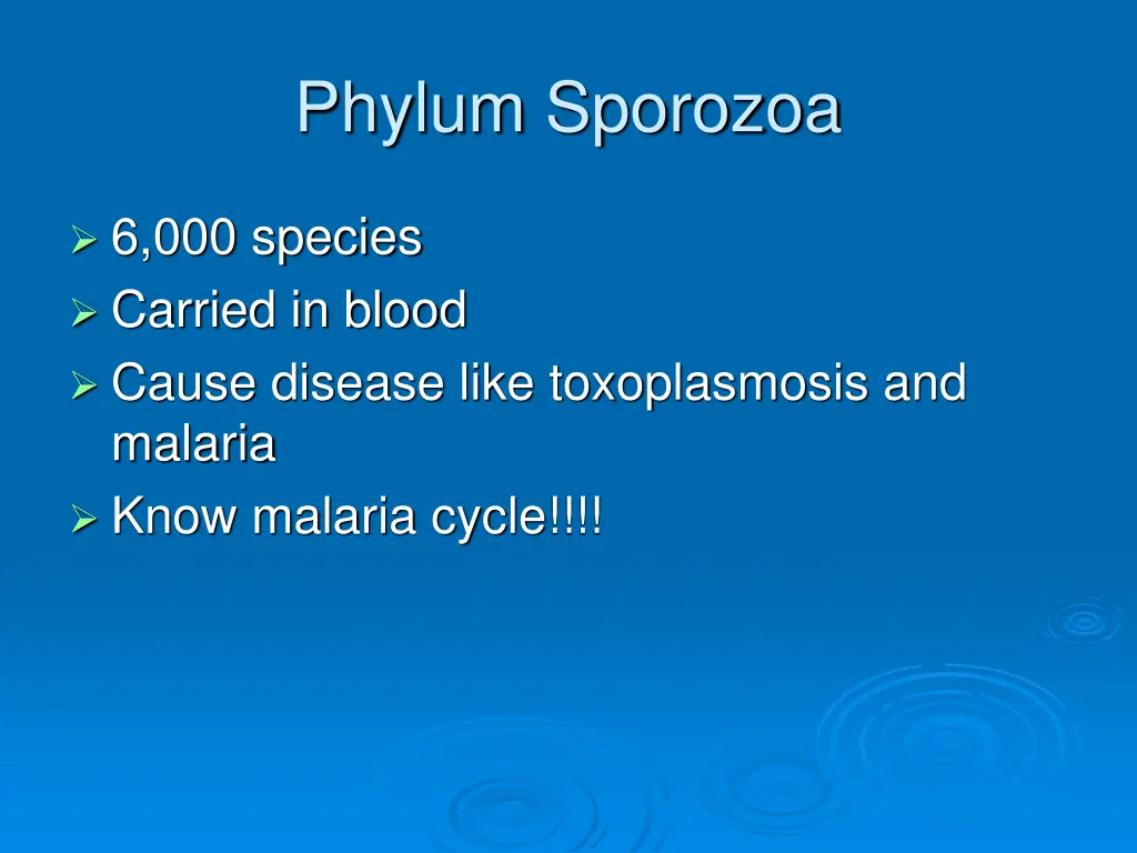 phylum sporozoa