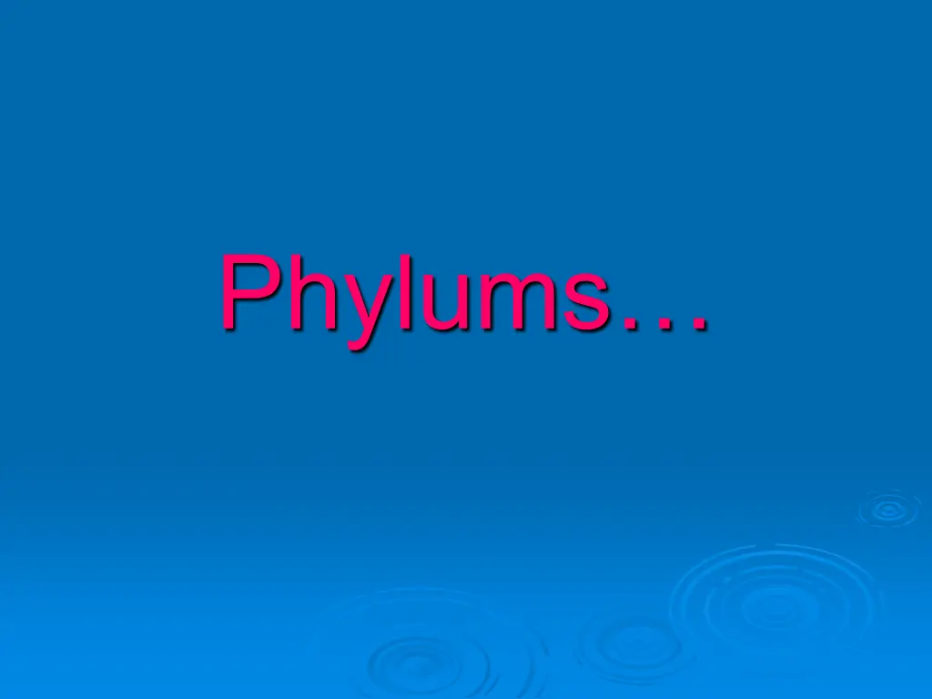 phylums