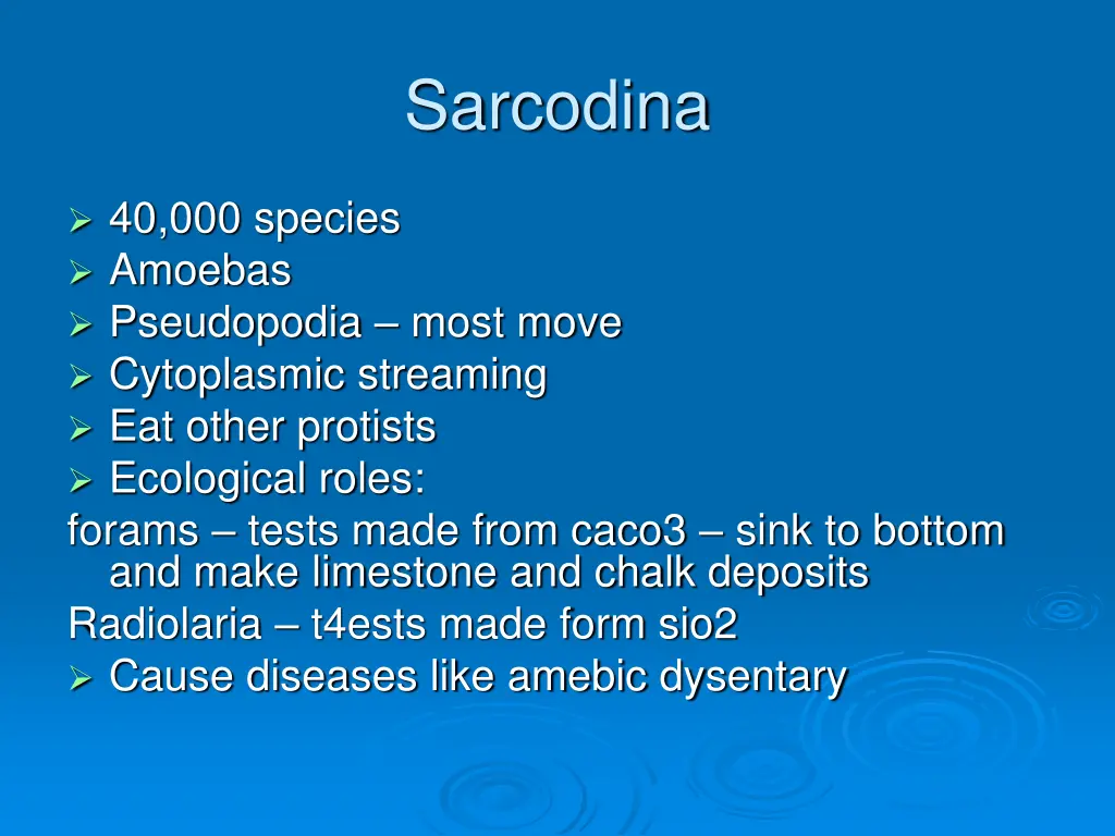 sarcodina