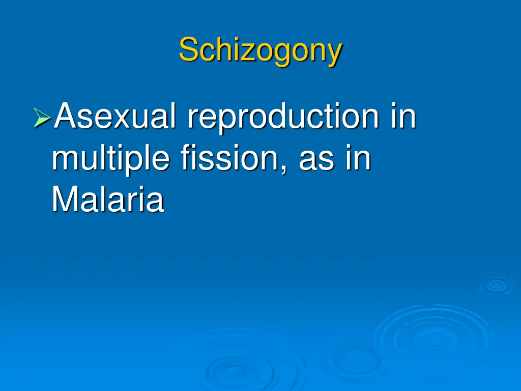 schizogony