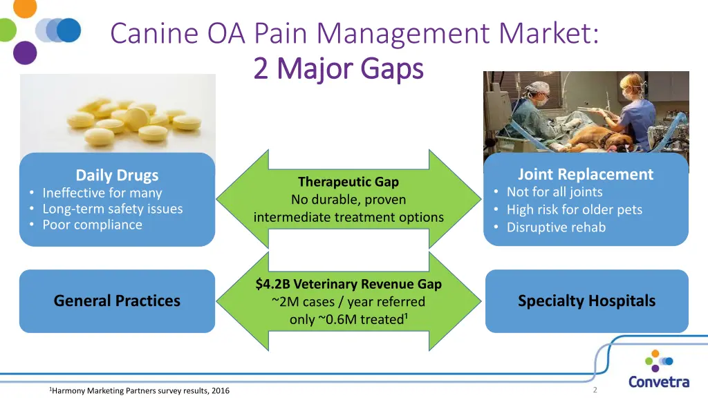 canine oa pain management market 2 major gaps