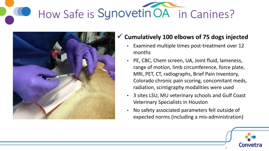 how safe is in canines