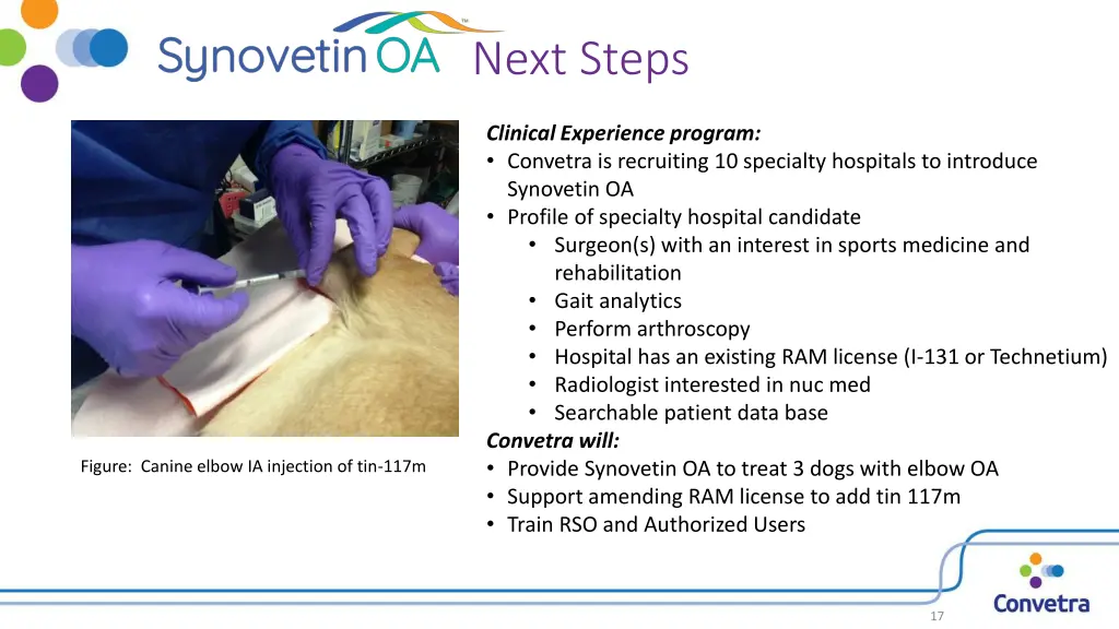 next steps