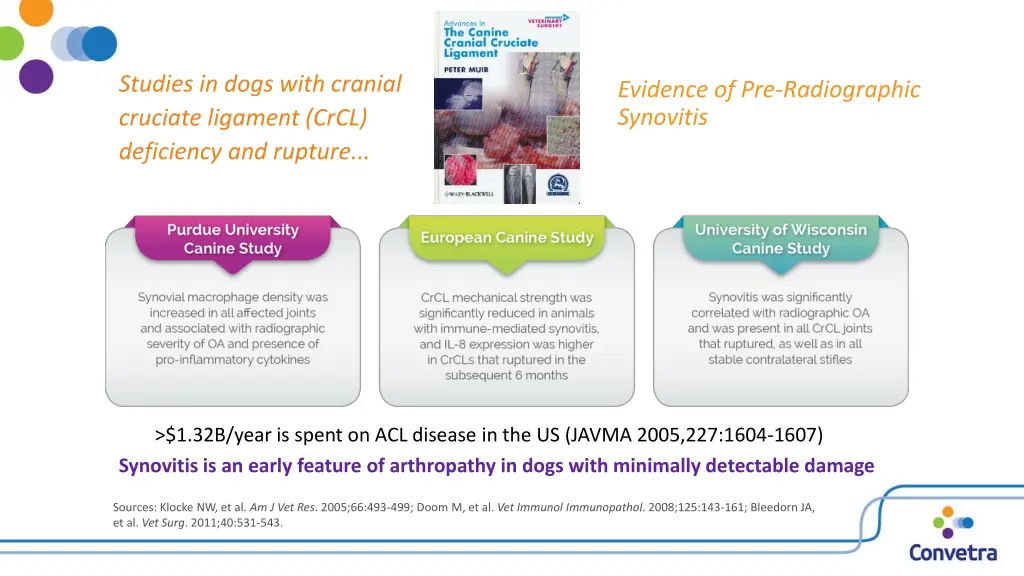 studies in dogs with cranial cruciate ligament