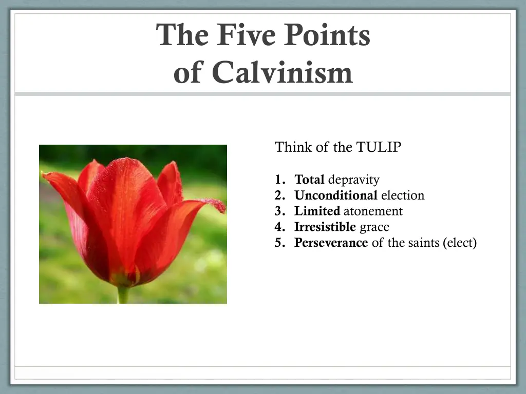 the five points of calvinism