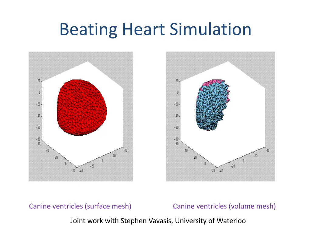 beating heart simulation