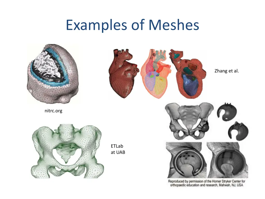 examples of meshes