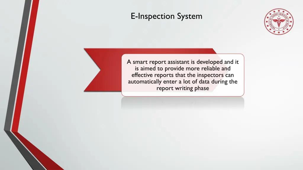 e inspection system