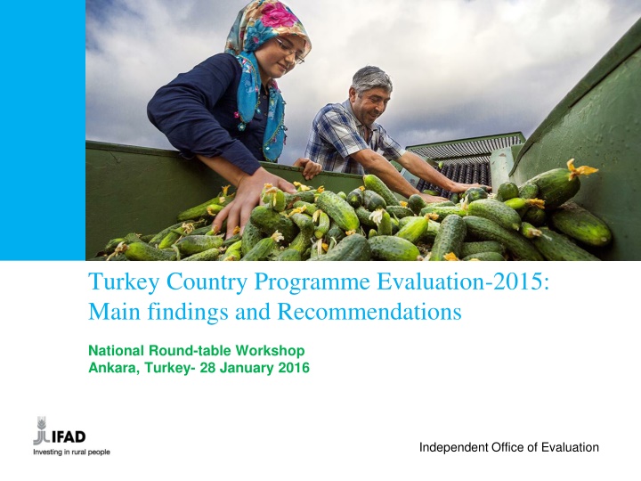 turkey country programme evaluation 2015 main