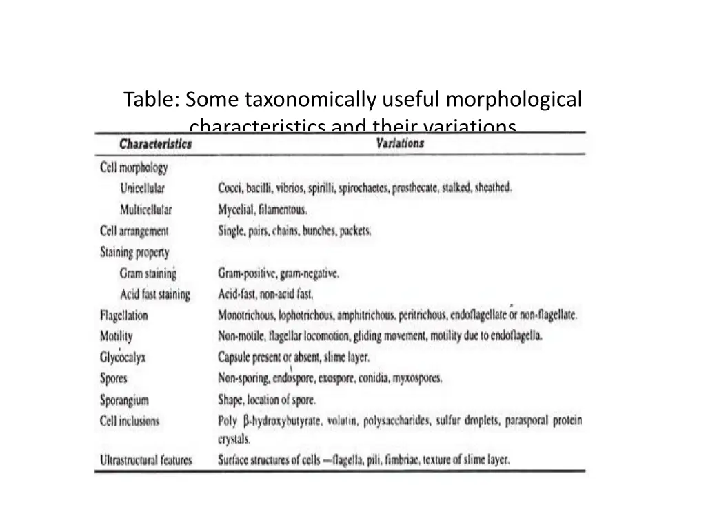 table some taxonomically useful morphological