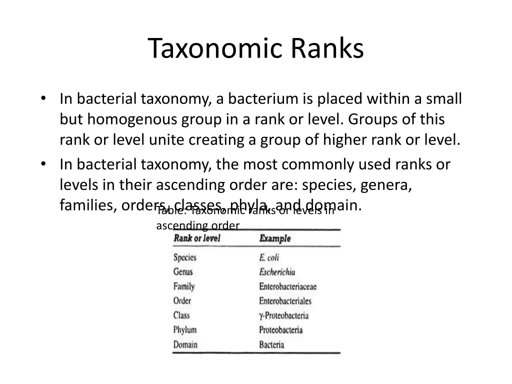taxonomic ranks
