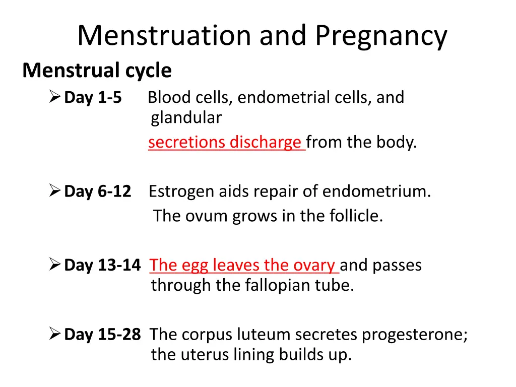 menstruation and pregnancy menstrual cycle