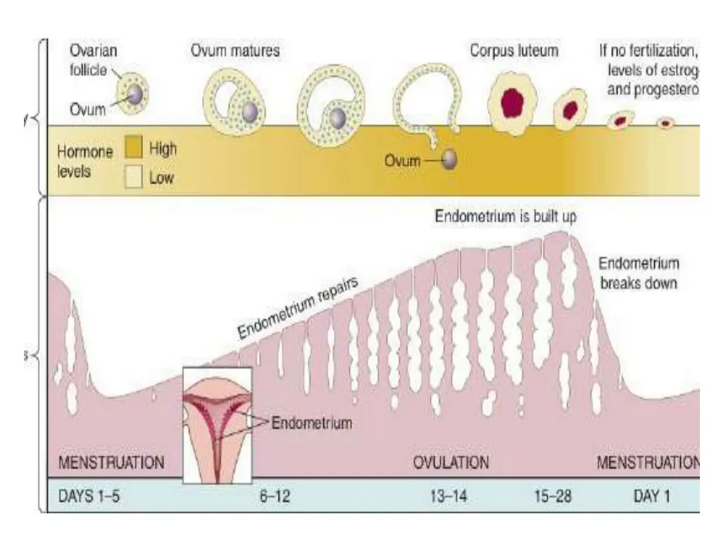 slide6