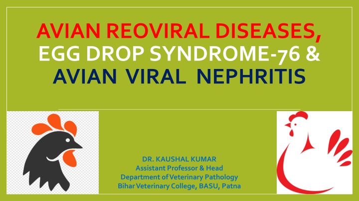 avian reoviral diseases egg drop syndrome