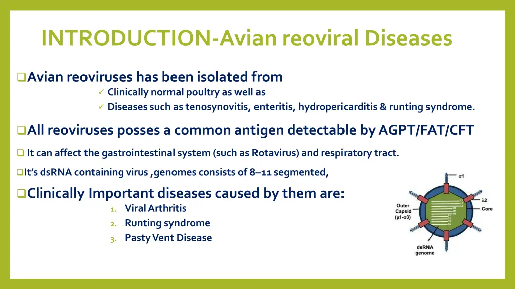 introduction avian reoviral diseases