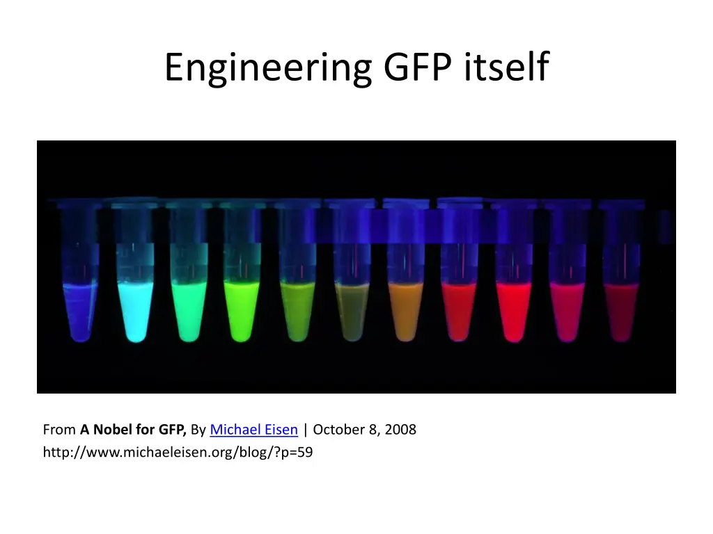 engineering gfp itself