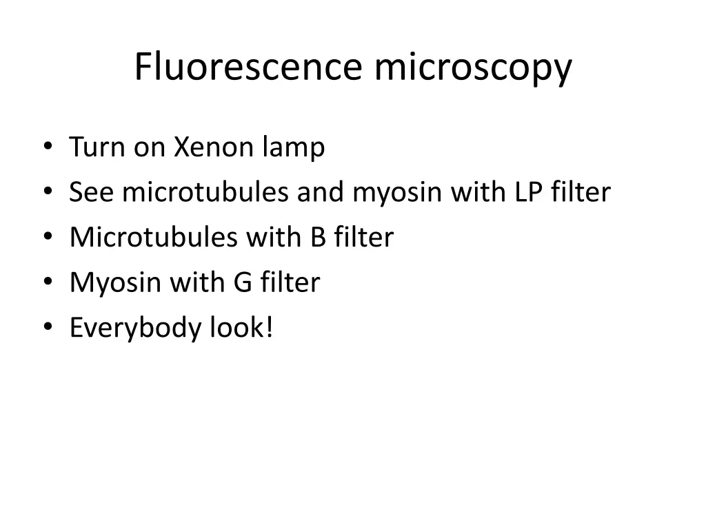 fluorescence microscopy