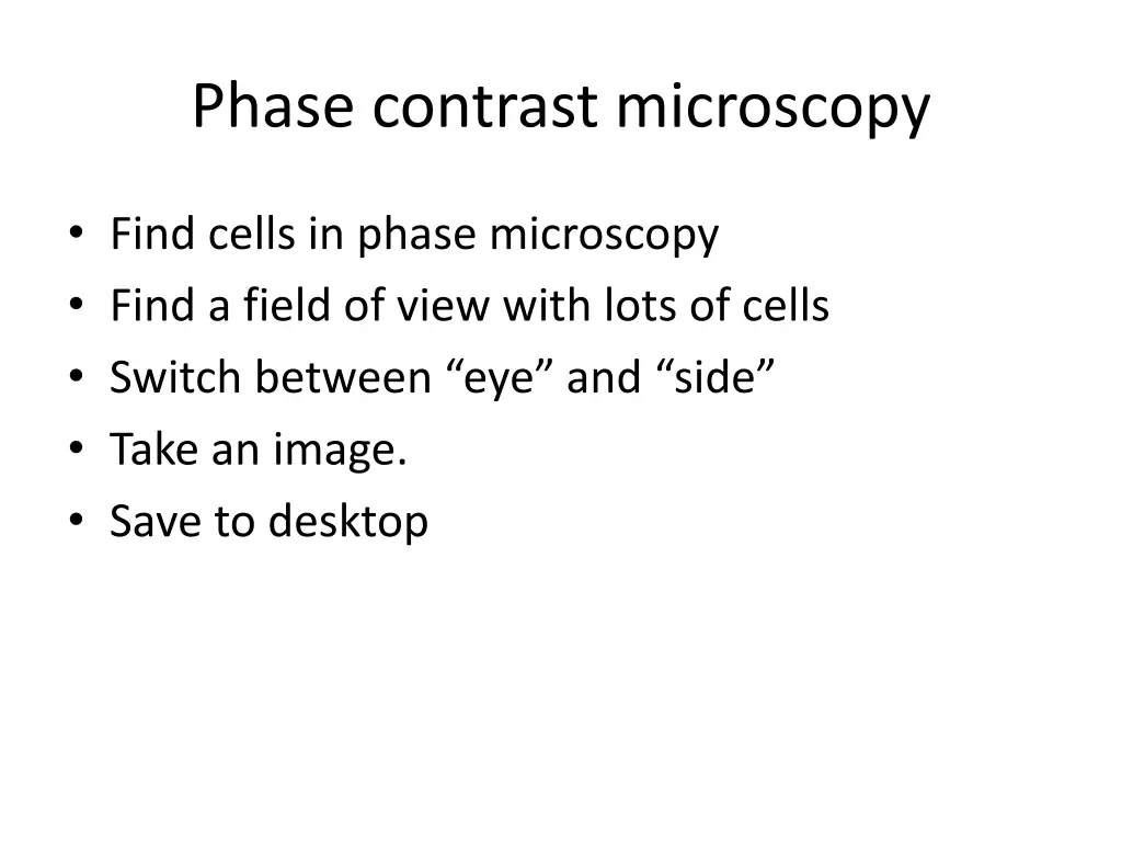 phase contrast microscopy