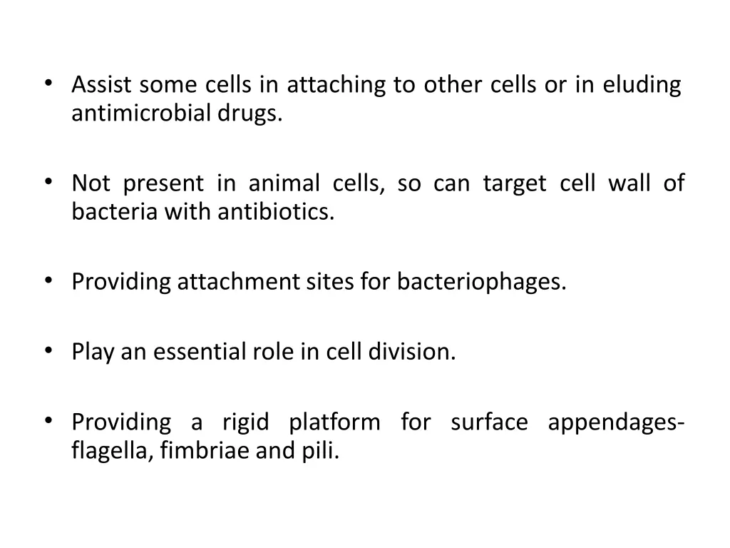 assist some cells in attaching to other cells