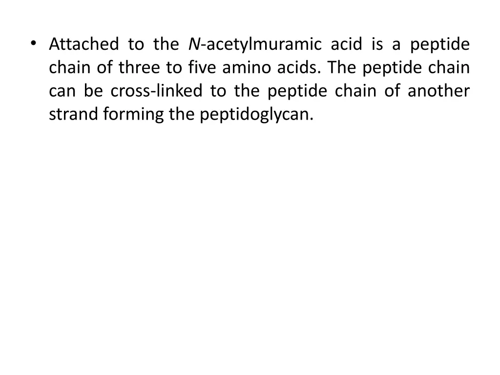 attached to the n acetylmuramic acid is a peptide