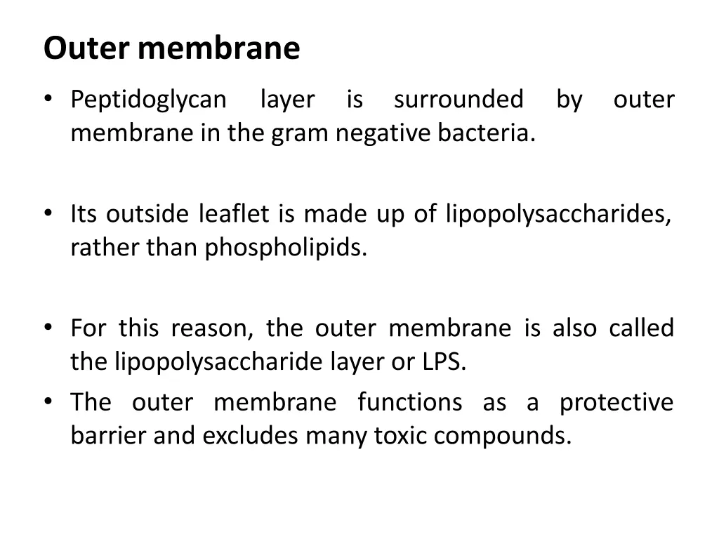 outermembrane
