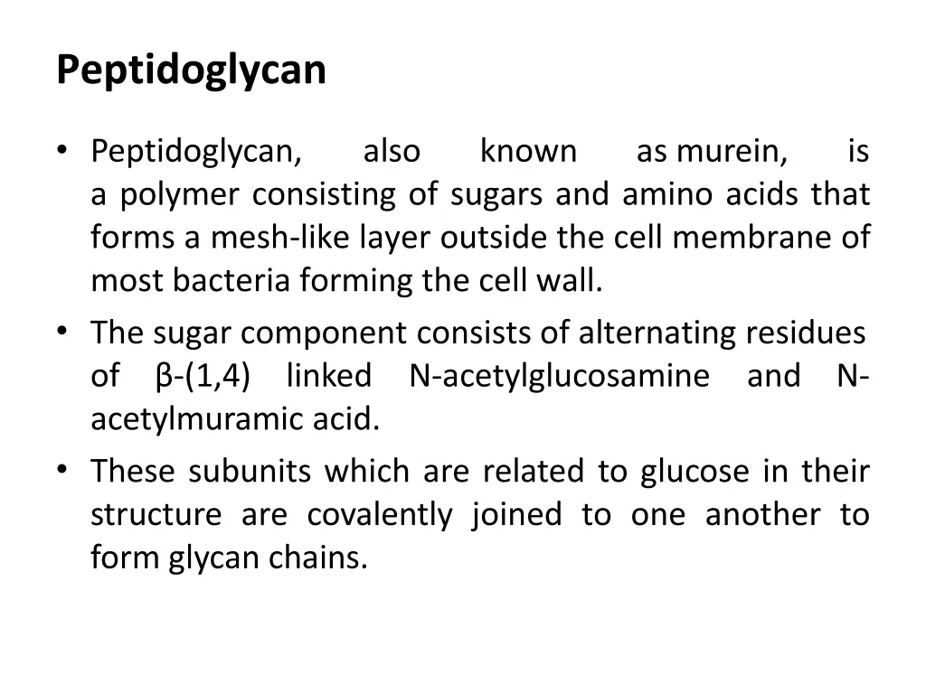 peptidoglycan