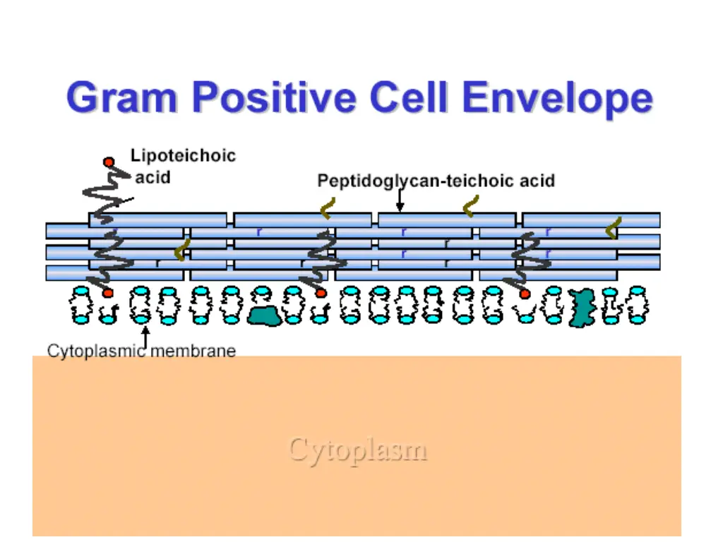 slide10
