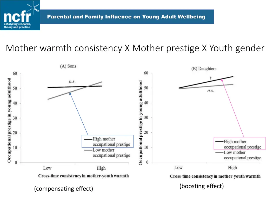 parental and family influence on young adult 11