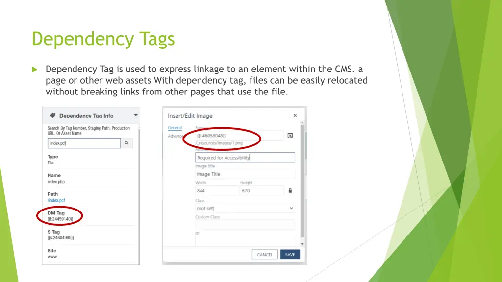 dependency tags