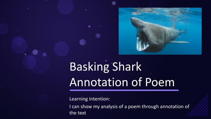 basking shark annotation of poem