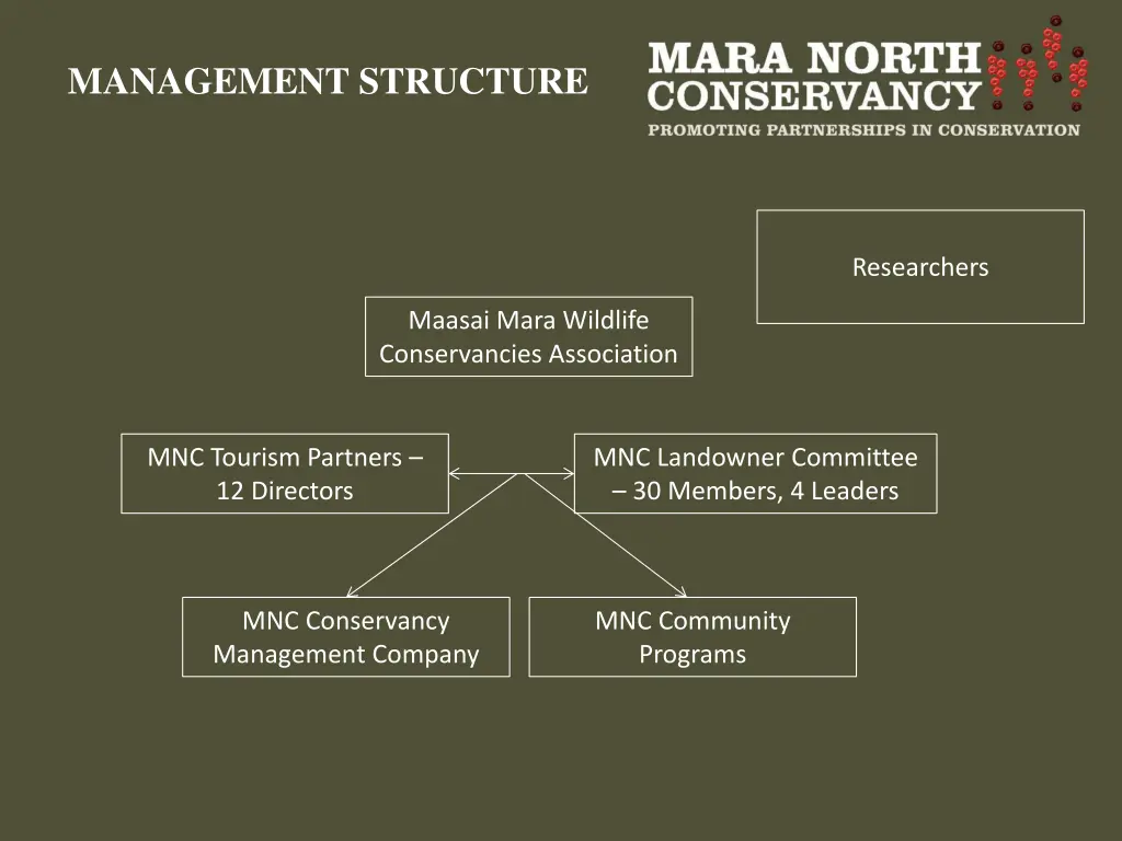 management structure