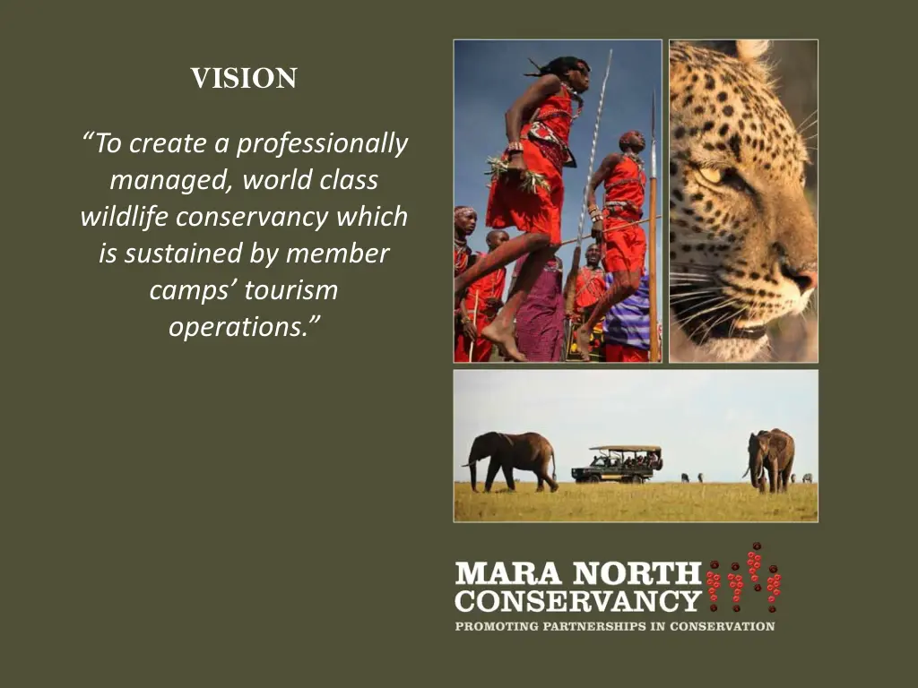 vision 1