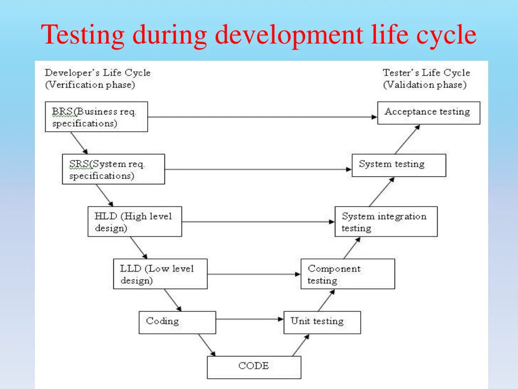 testing during development life cycle
