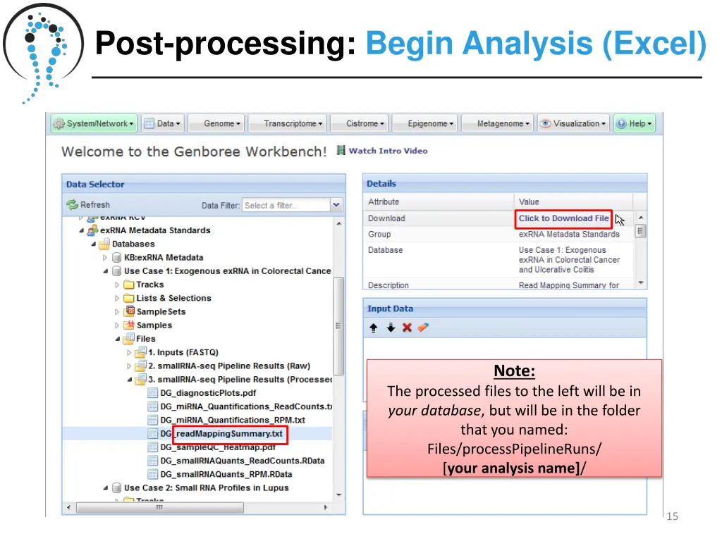 post processing begin analysis excel