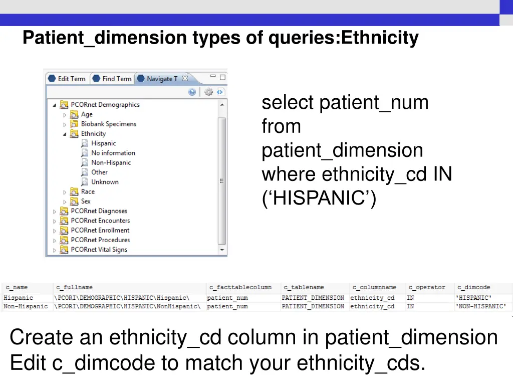 patient dimension types of queries ethnicity