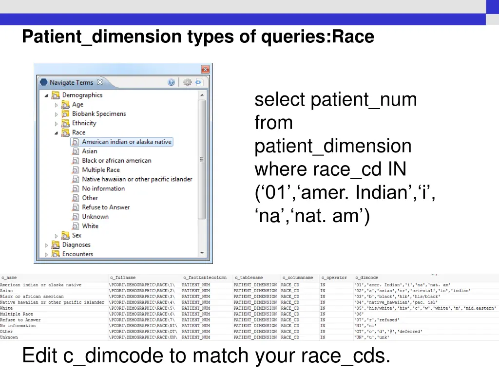 patient dimension types of queries race
