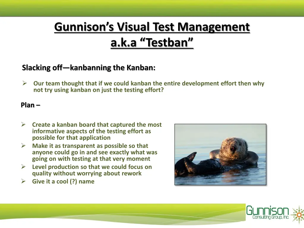 gunnison s visual test management a k a testban