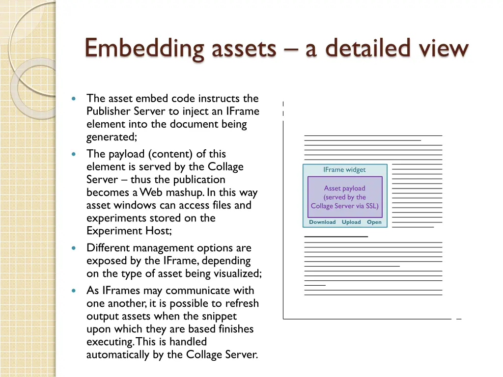 embedding assets a detailed view