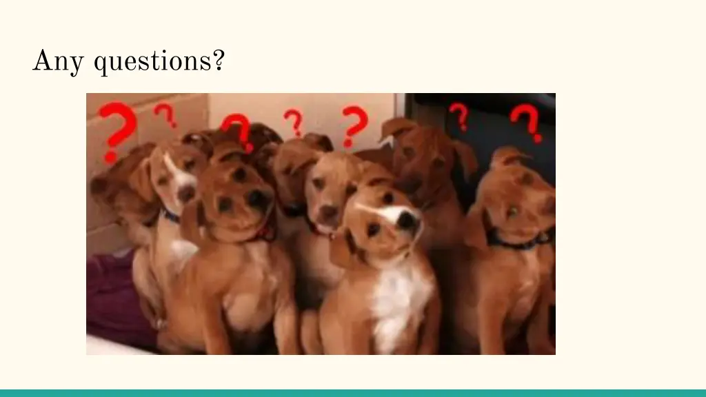 any questions