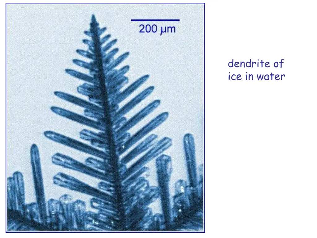dendrite of ice in water