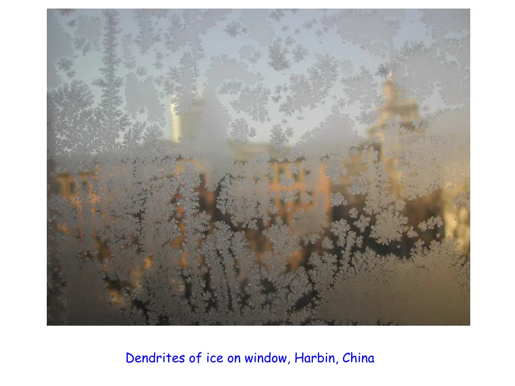 dendrites of ice on window harbin china