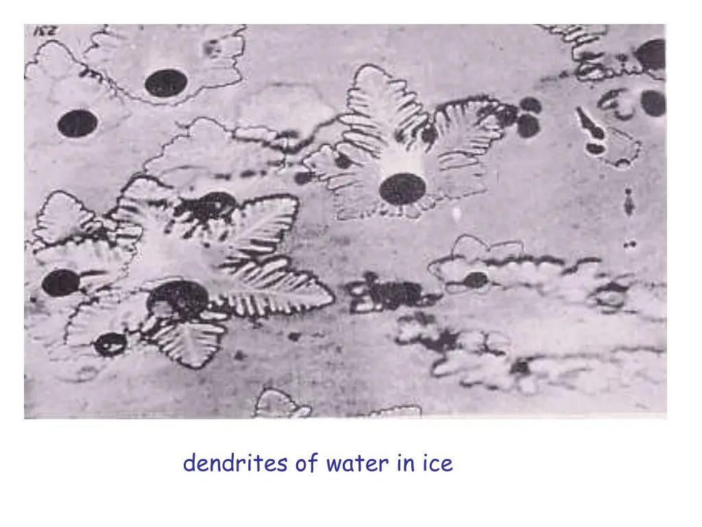 dendrites of water in ice