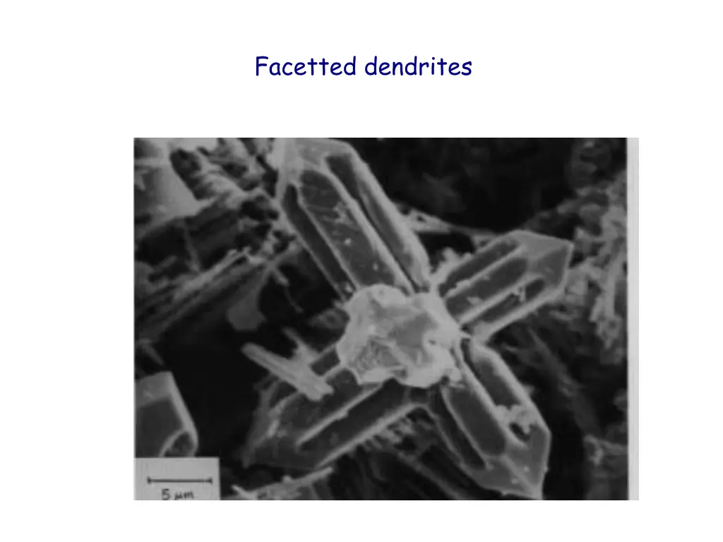 facetted dendrites