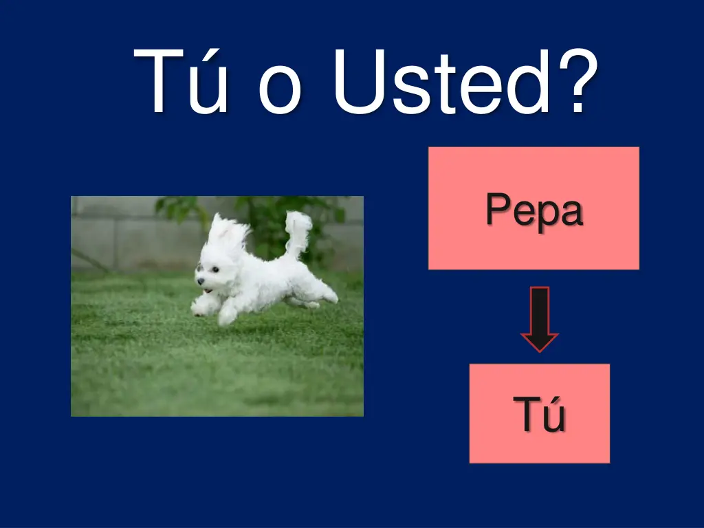 t o usted 4