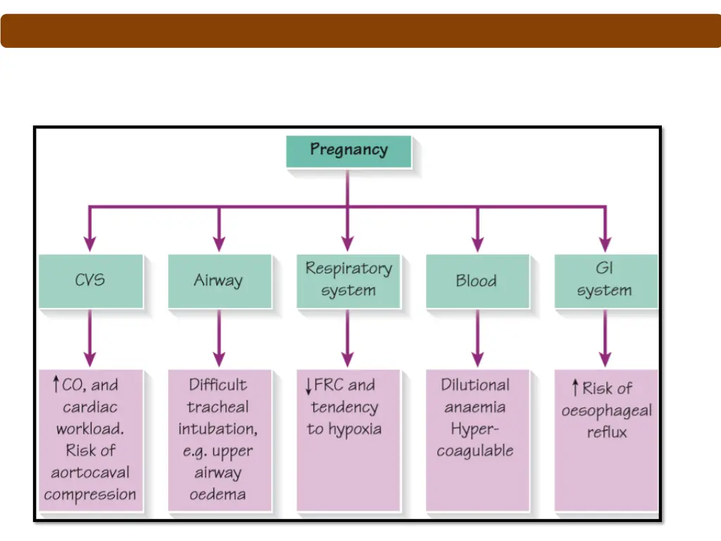 slide5