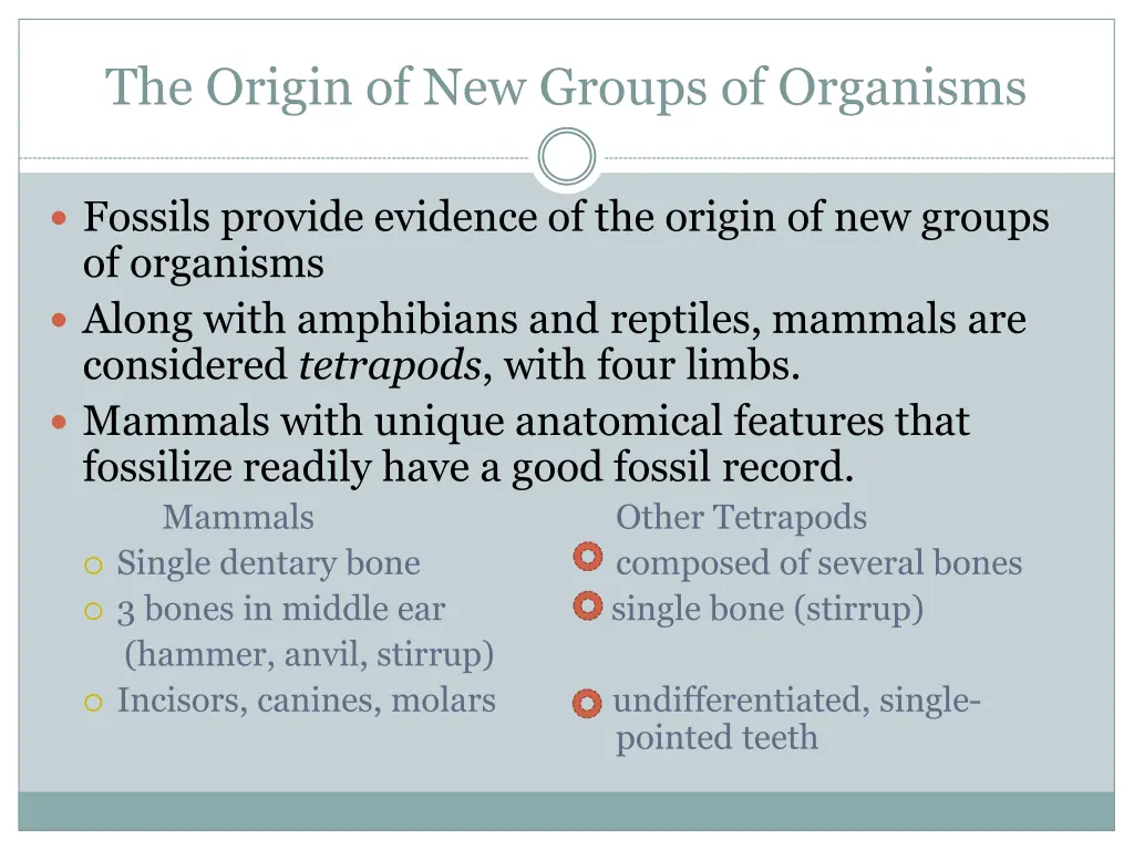 the origin of new groups of organisms