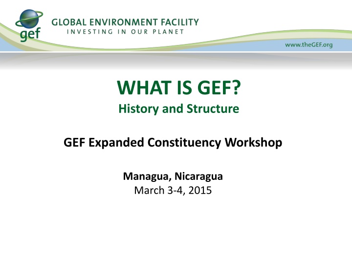 what is gef history and structure